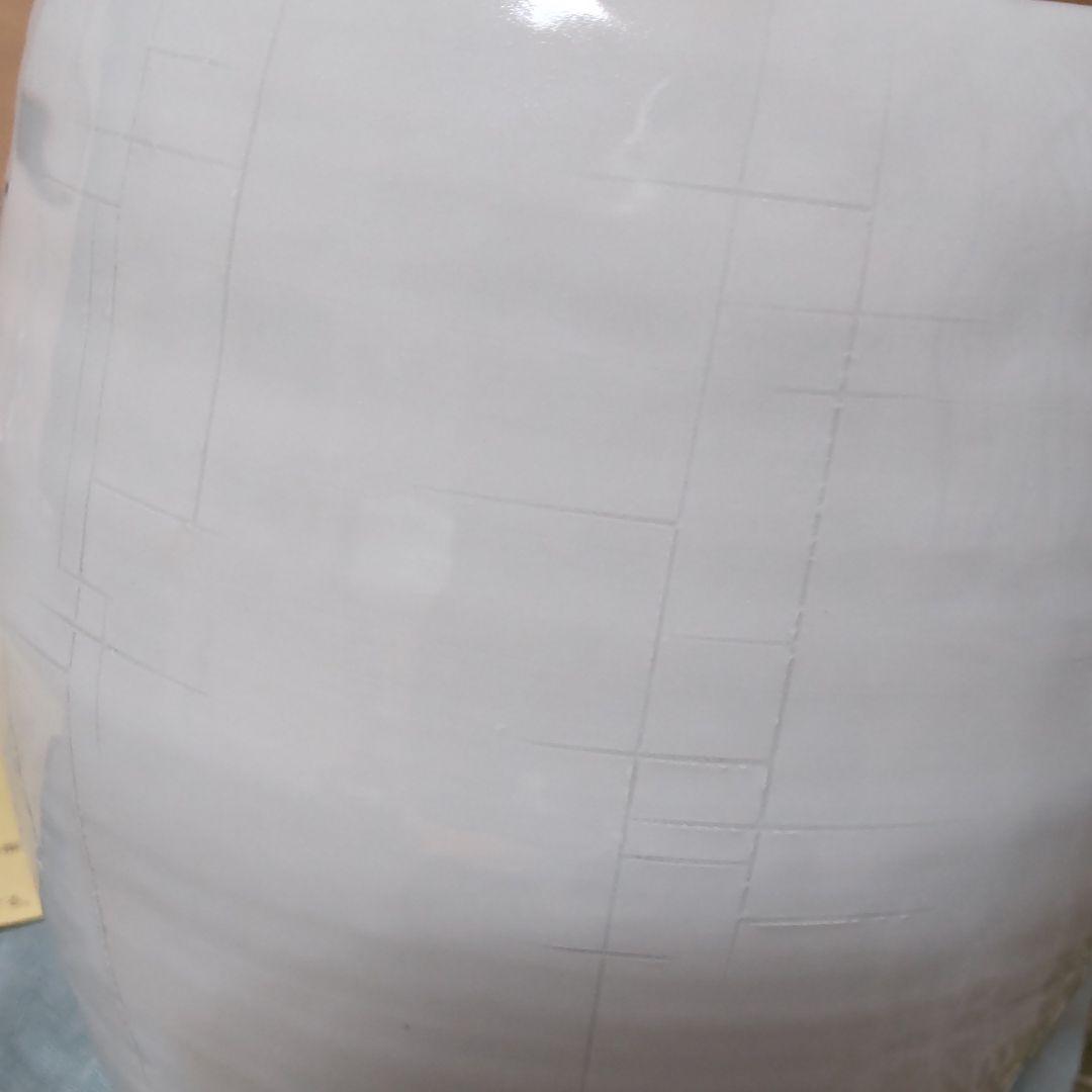 九谷焼壽楽窯　嶋田正則作【白磁穿相】壺