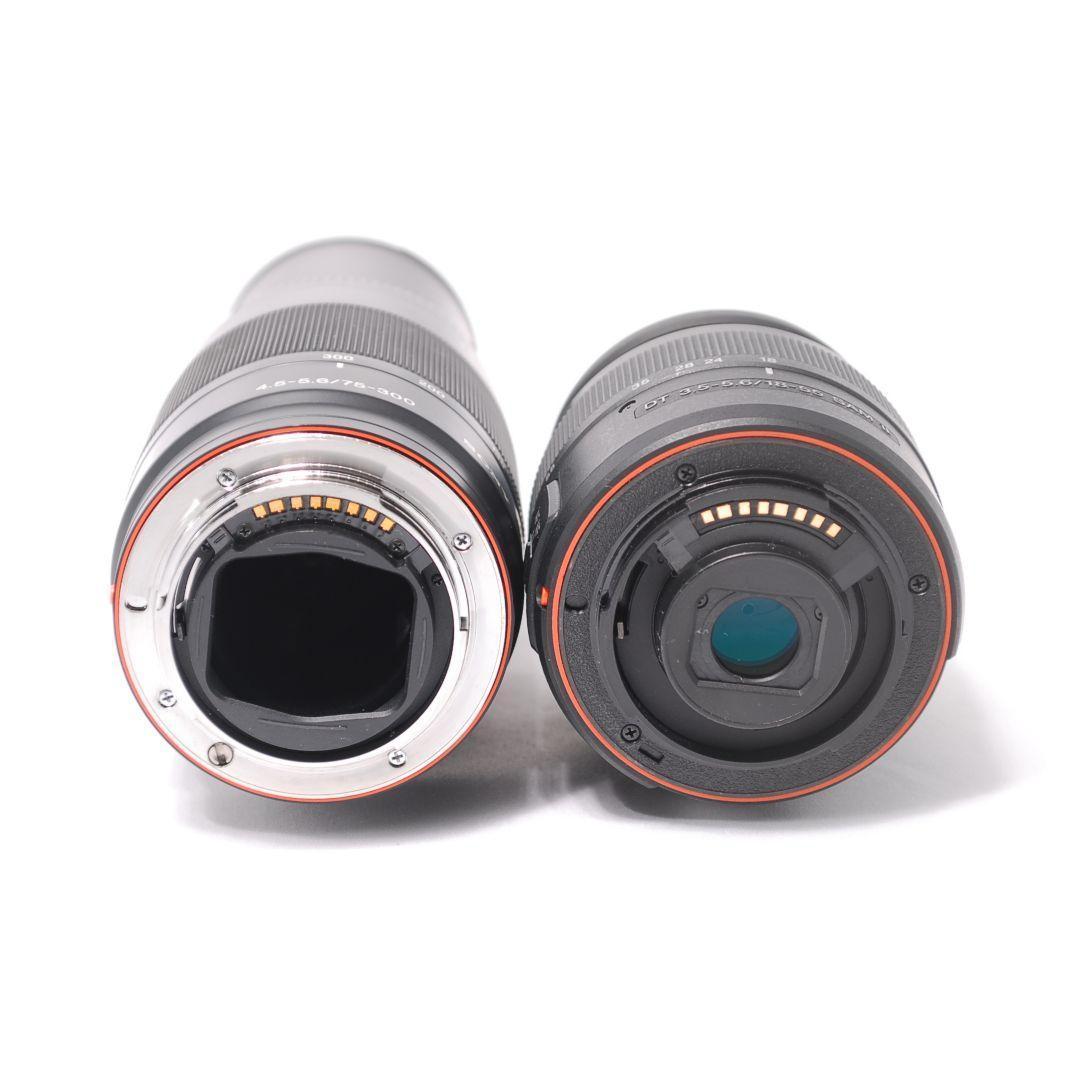 ❤即購入1000円OFF❤ ソニー α65 × 超望遠レンズ ダブルズーム