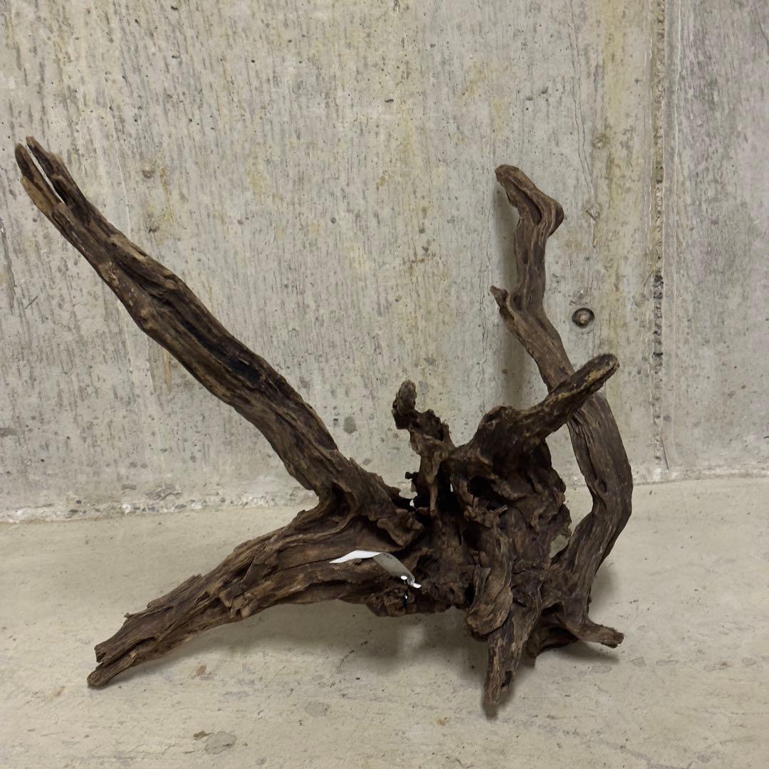 ADA スリムウッド　流木　特大