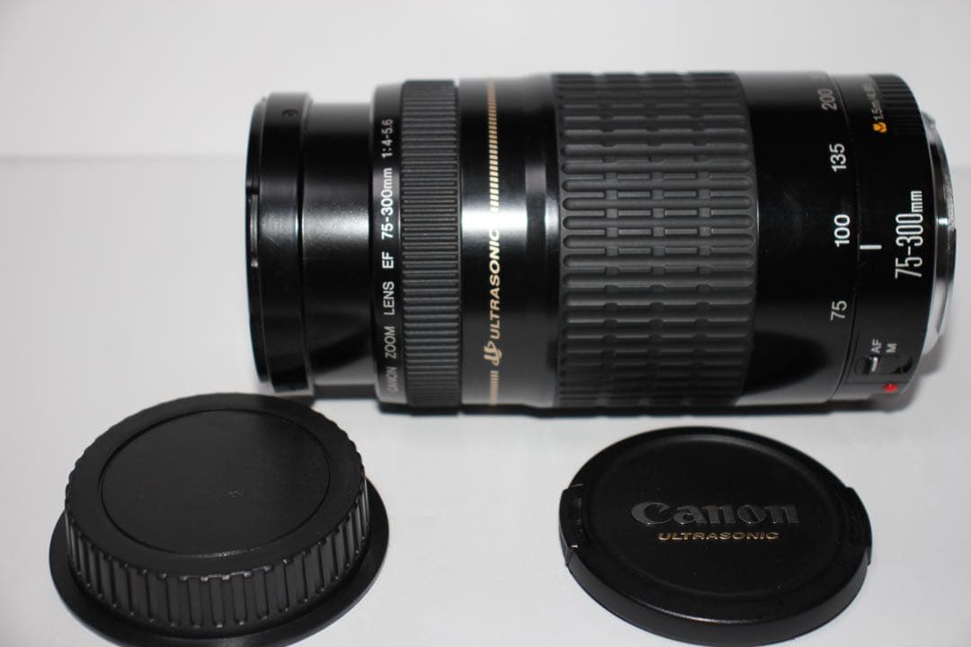人気の300mm☆CANON EF 75-300mm F4-5.6