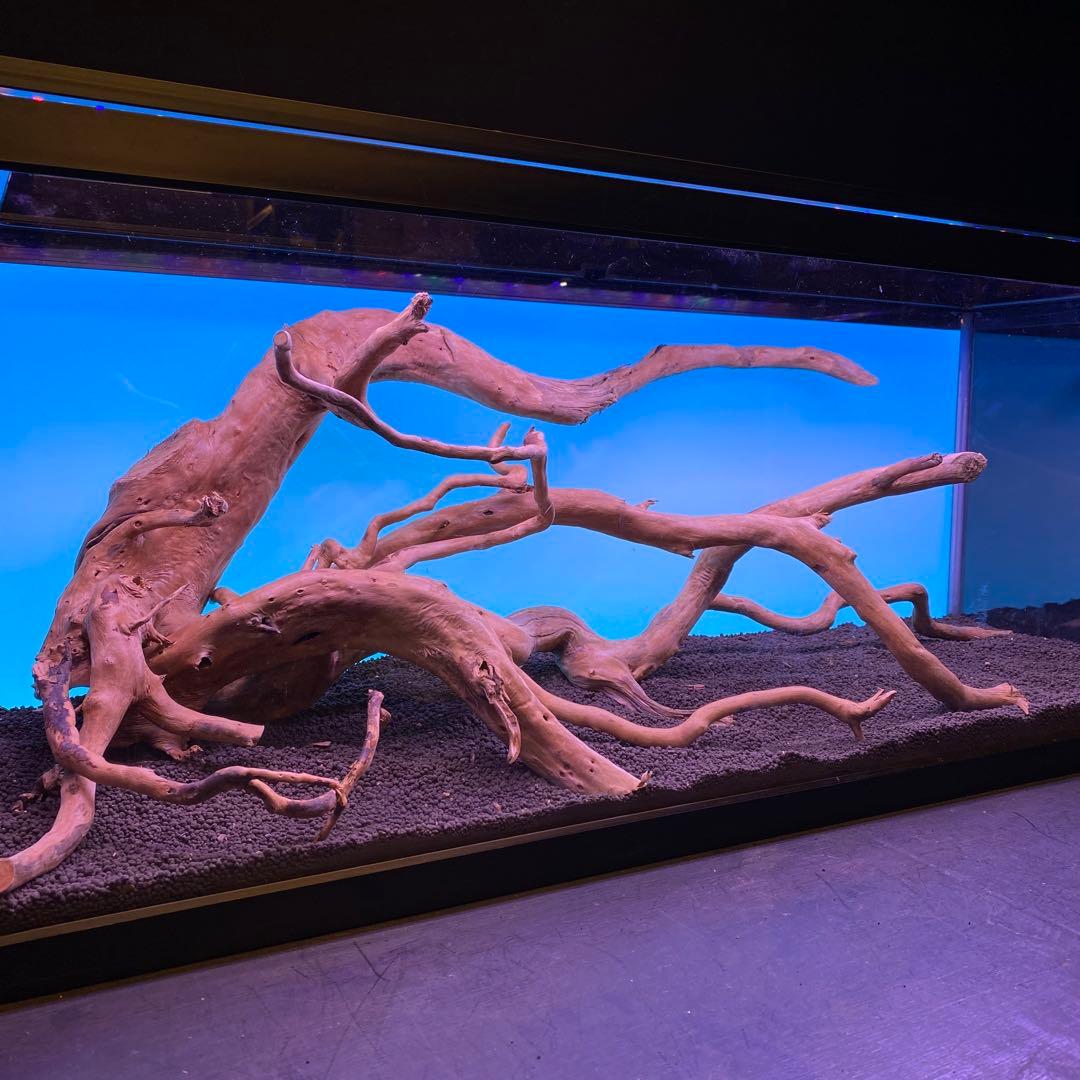 MDW-6678 ブランチウッドレイアウトセット　90cm水槽用流木　枝流木
