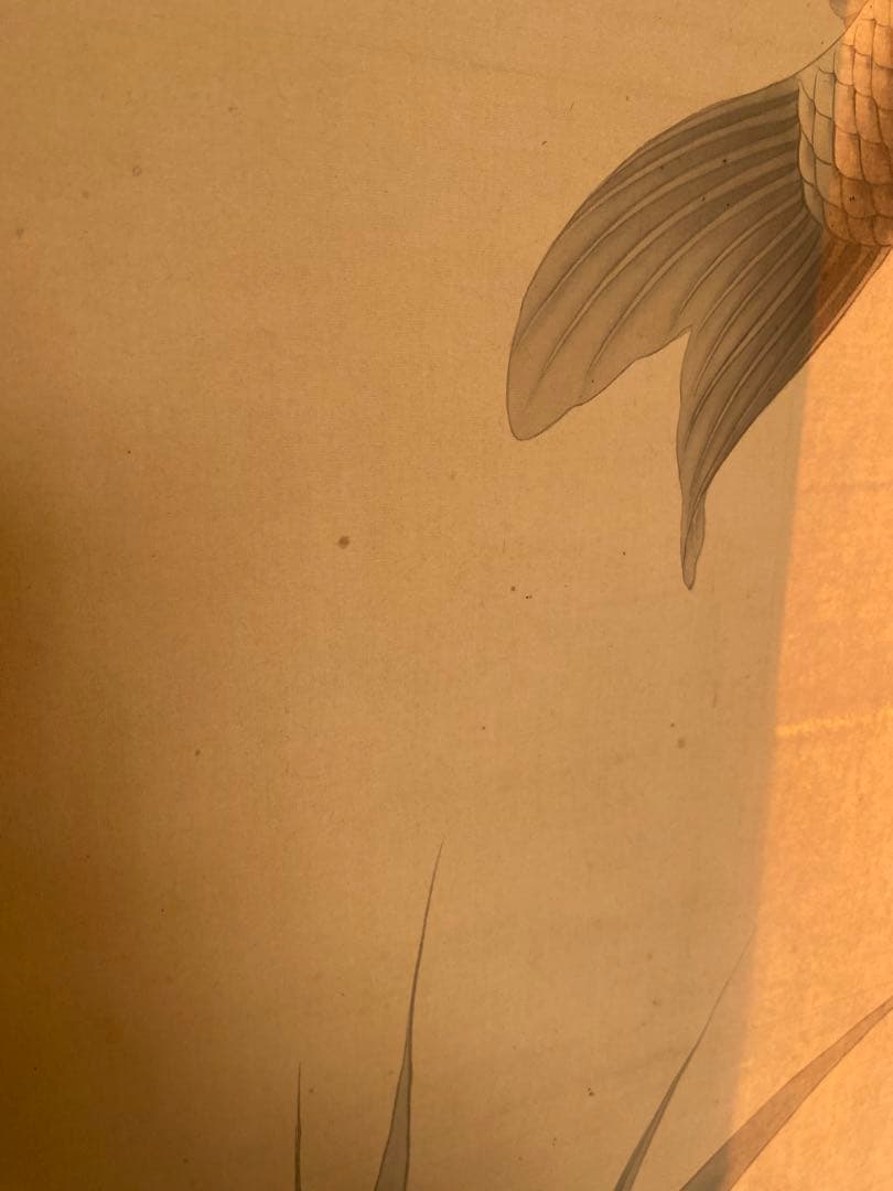 岡田錬石　錬石　飛鯉　鯉　躍鯉　出世鯉　日本画