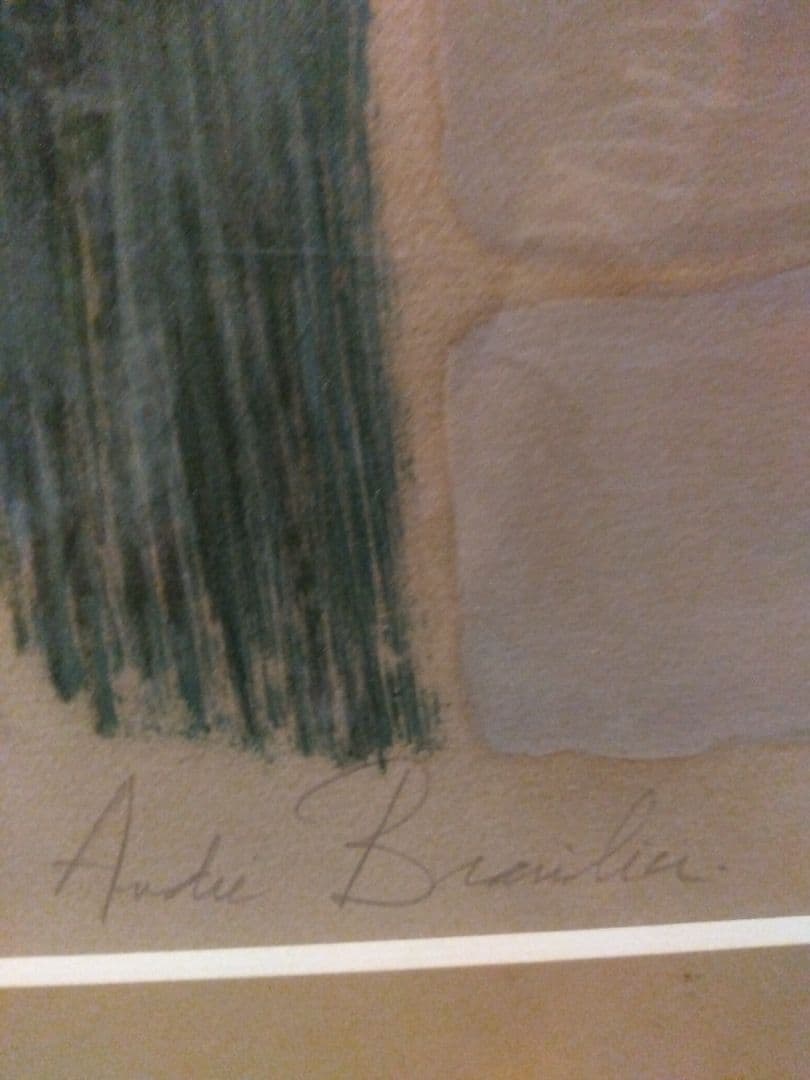 ブラジリエ　額装リトグラフ