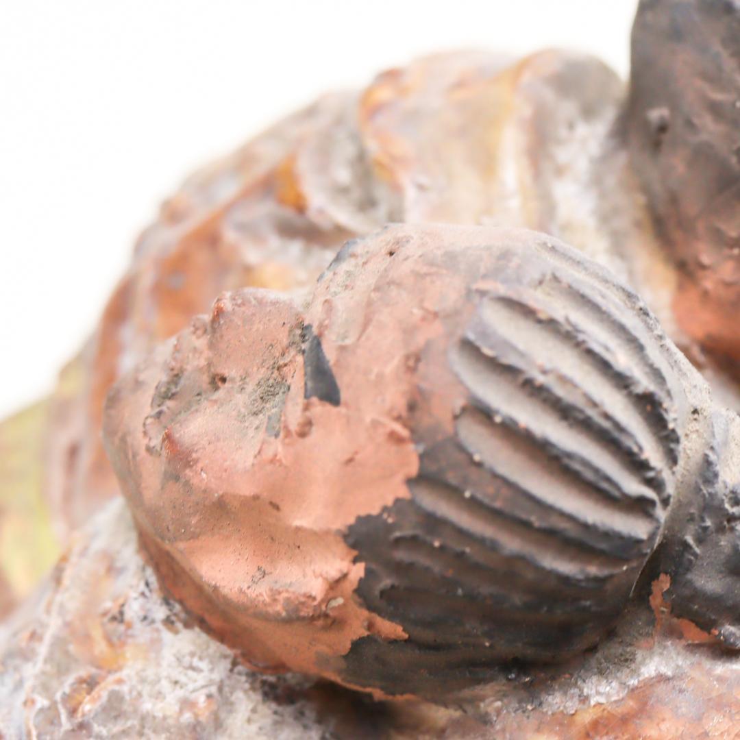 民芸 相撲 陶人形 置物 郷土玩具