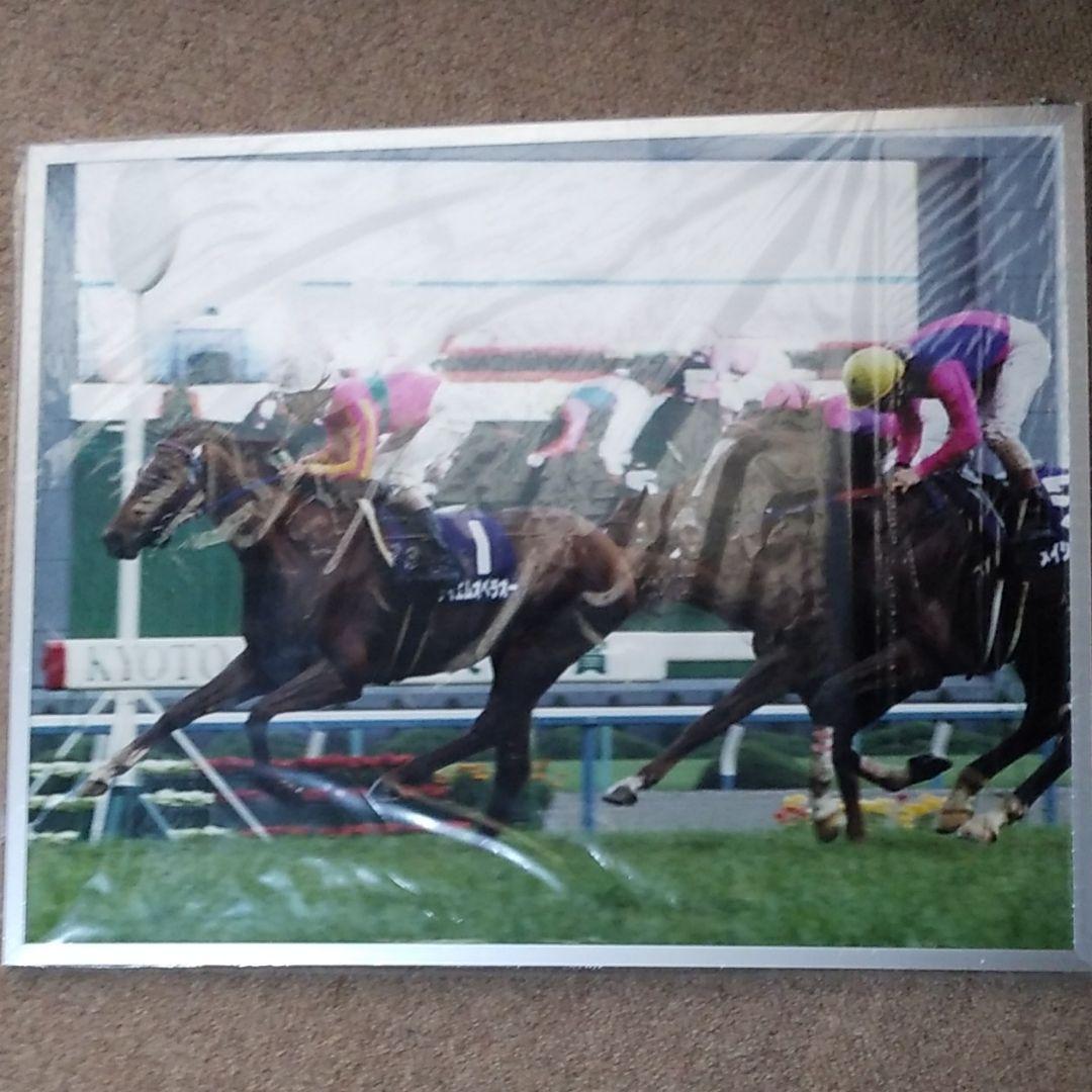 テイエムオペラオーの写真パネル