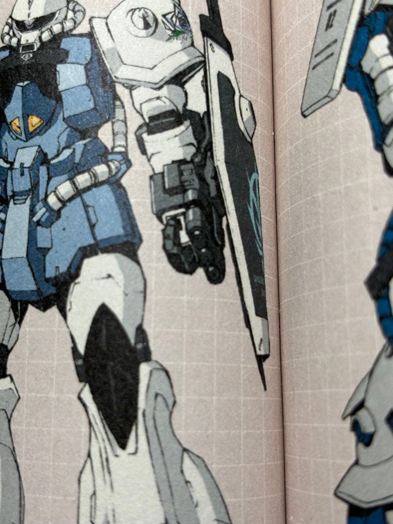 HG グフカスタム(ヴァイスローゼ)塗装完成品