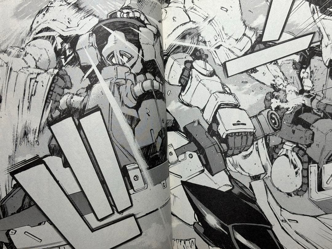 HG グフカスタム(ヴァイスローゼ)塗装完成品