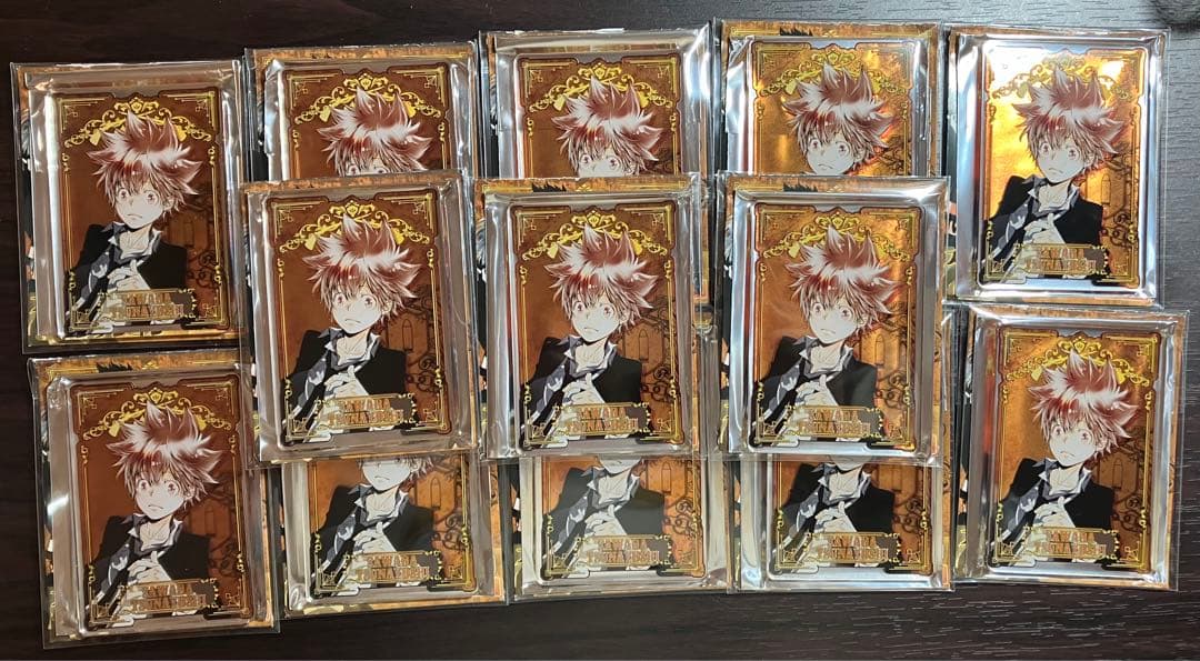 家庭教師ヒットマンREBORN! ステータスカード 沢田綱吉　ツナ　13点