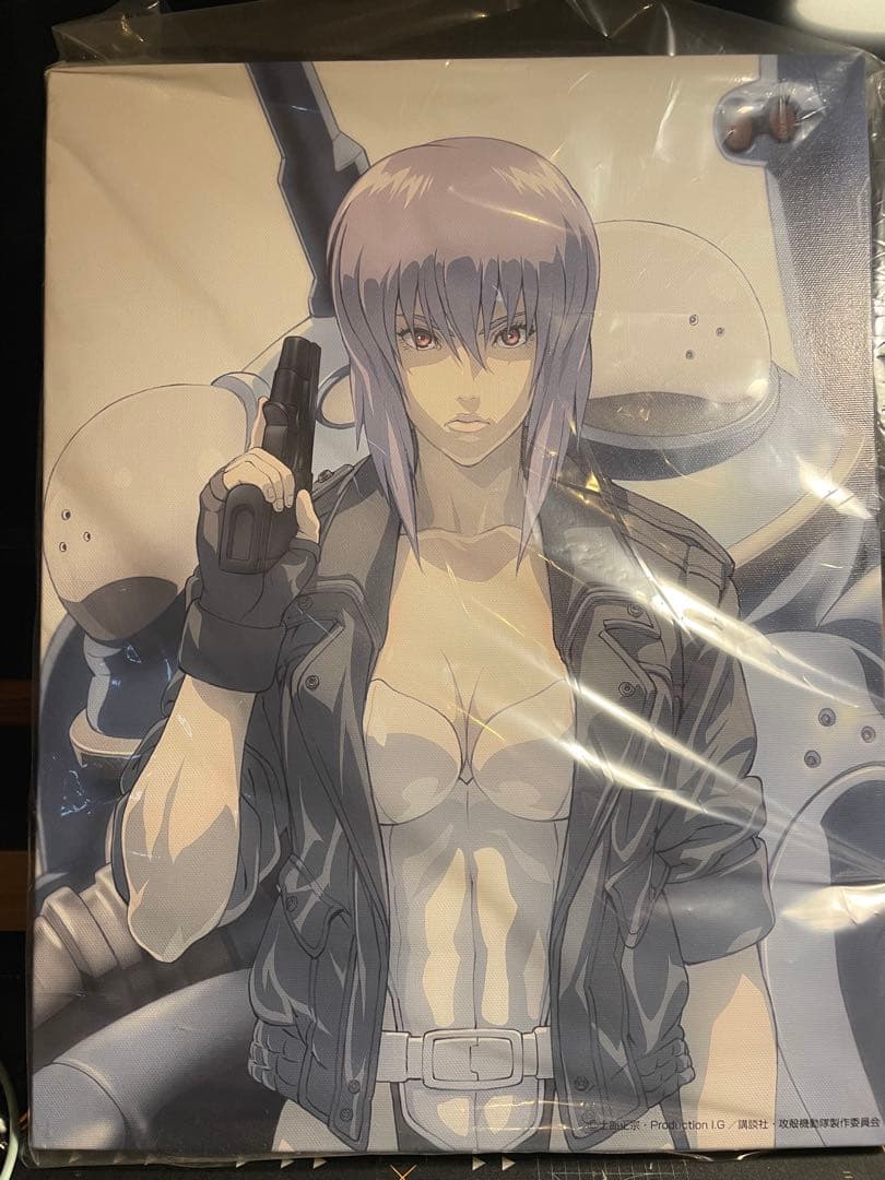 攻殻機動隊 草薙素子 キャンバスアート F6サイズ