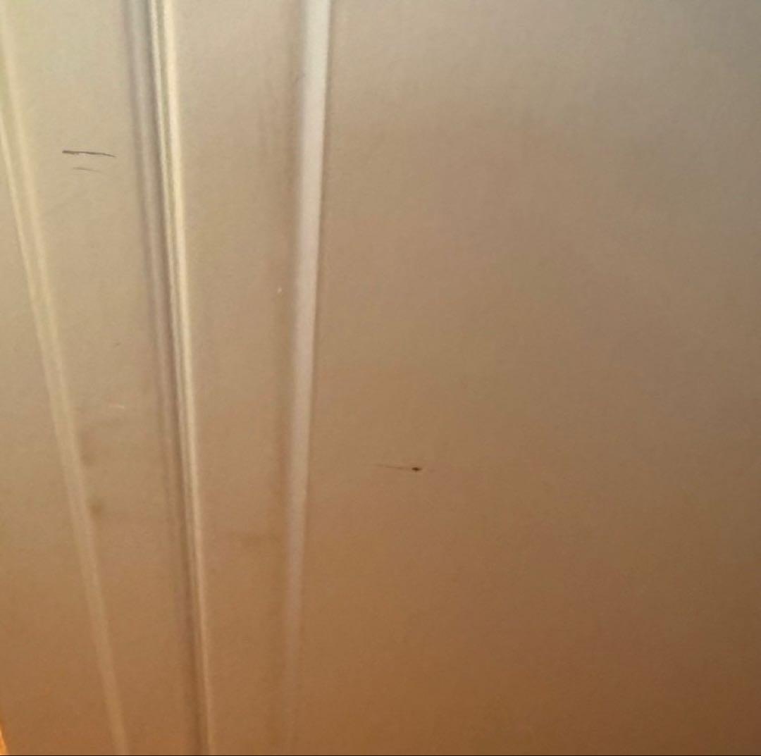 バッグ GeoAluminum3.0|28\" SpinnerTravelCase 83L