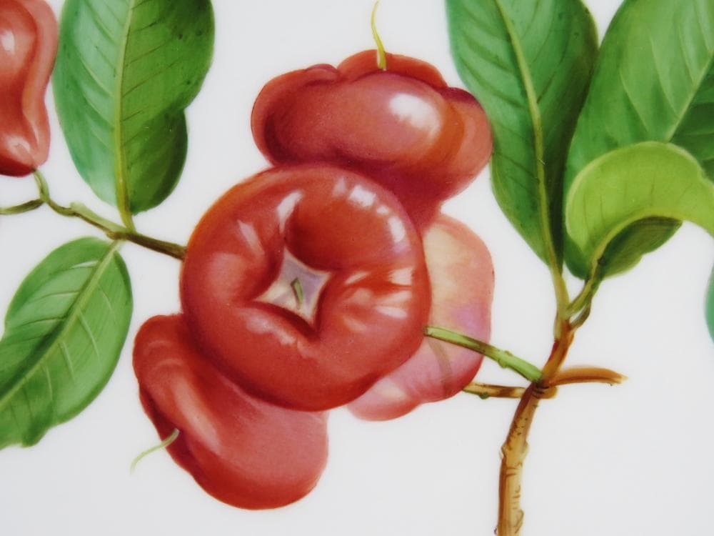 ☆希少☆マイセン　果実・フルーツ絵皿「レンブ」21.5cm　ボタン剣１級品