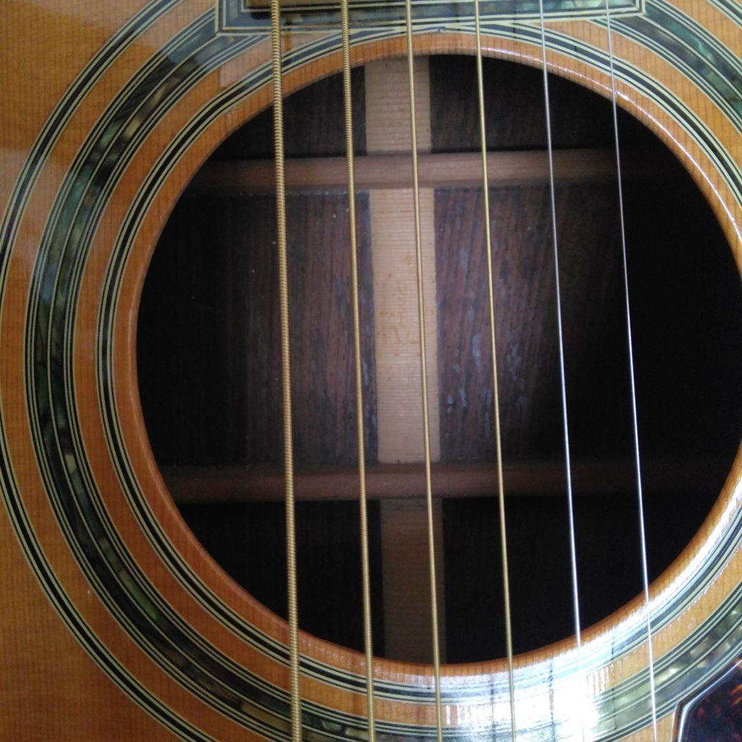 スズキバイオリン スリーエス　W-500 アコースティックギター