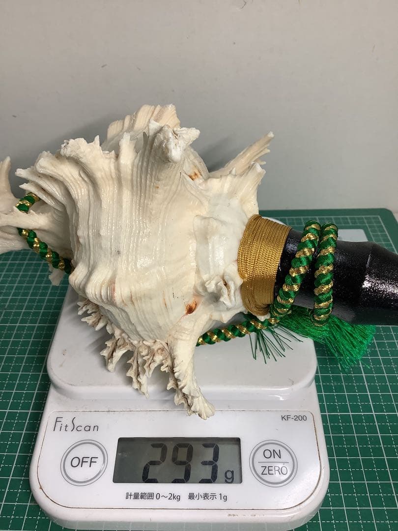 ヤフメリ15・テングガイ・法螺貝・山伏・修験者・金峯山・羽黒山・戦国武将・縁起物