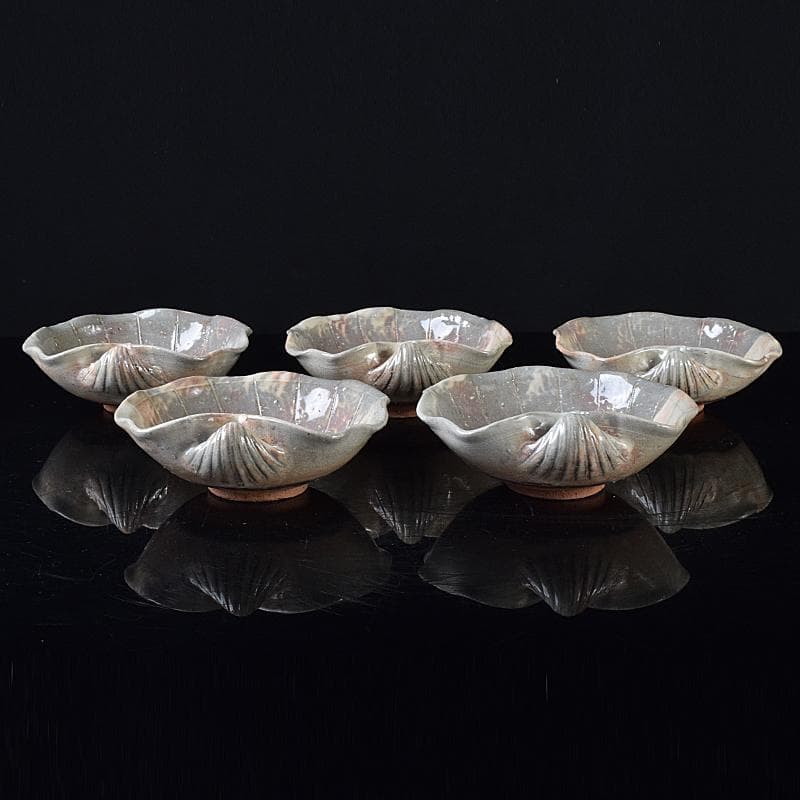 ピノ　和食器萩焼大華山鳥雲窯納富鳥雲作　貝形向付五客共箱　V　R8000B