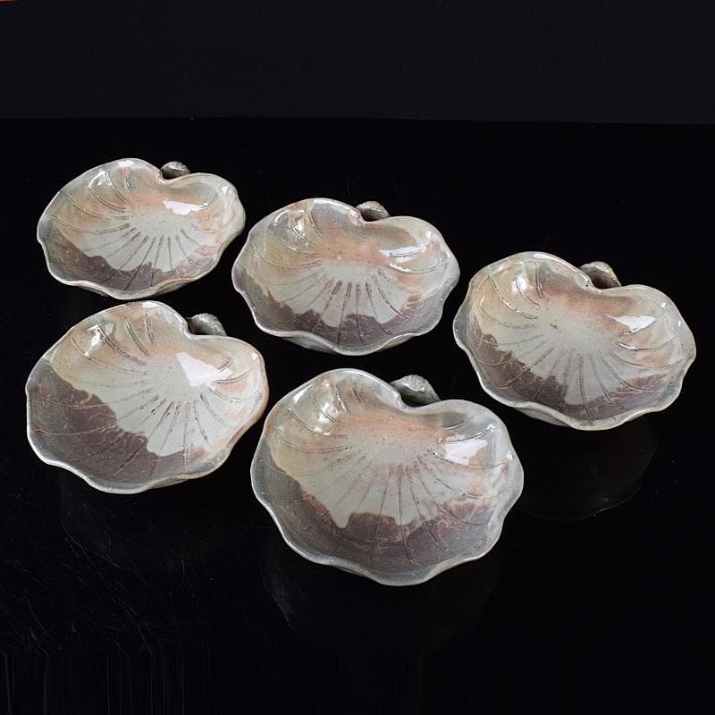 ピノ　和食器萩焼大華山鳥雲窯納富鳥雲作　貝形向付五客共箱　V　R8000B