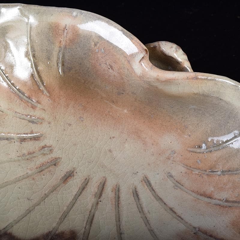 ピノ　和食器萩焼大華山鳥雲窯納富鳥雲作　貝形向付五客共箱　V　R8000B