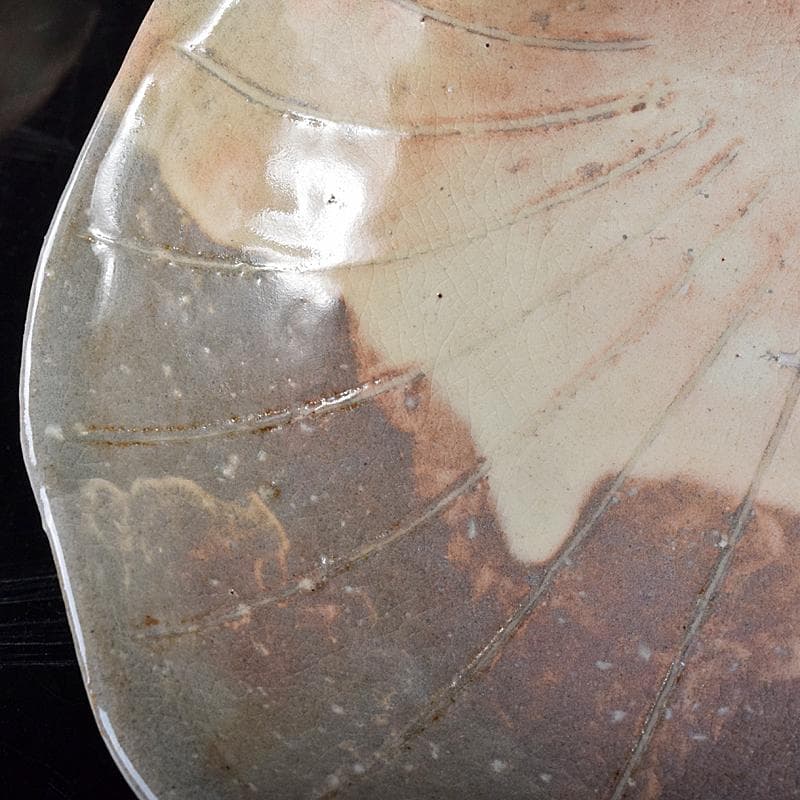 ピノ　和食器萩焼大華山鳥雲窯納富鳥雲作　貝形向付五客共箱　V　R8000B