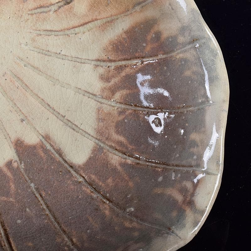 ピノ　和食器萩焼大華山鳥雲窯納富鳥雲作　貝形向付五客共箱　V　R8000B