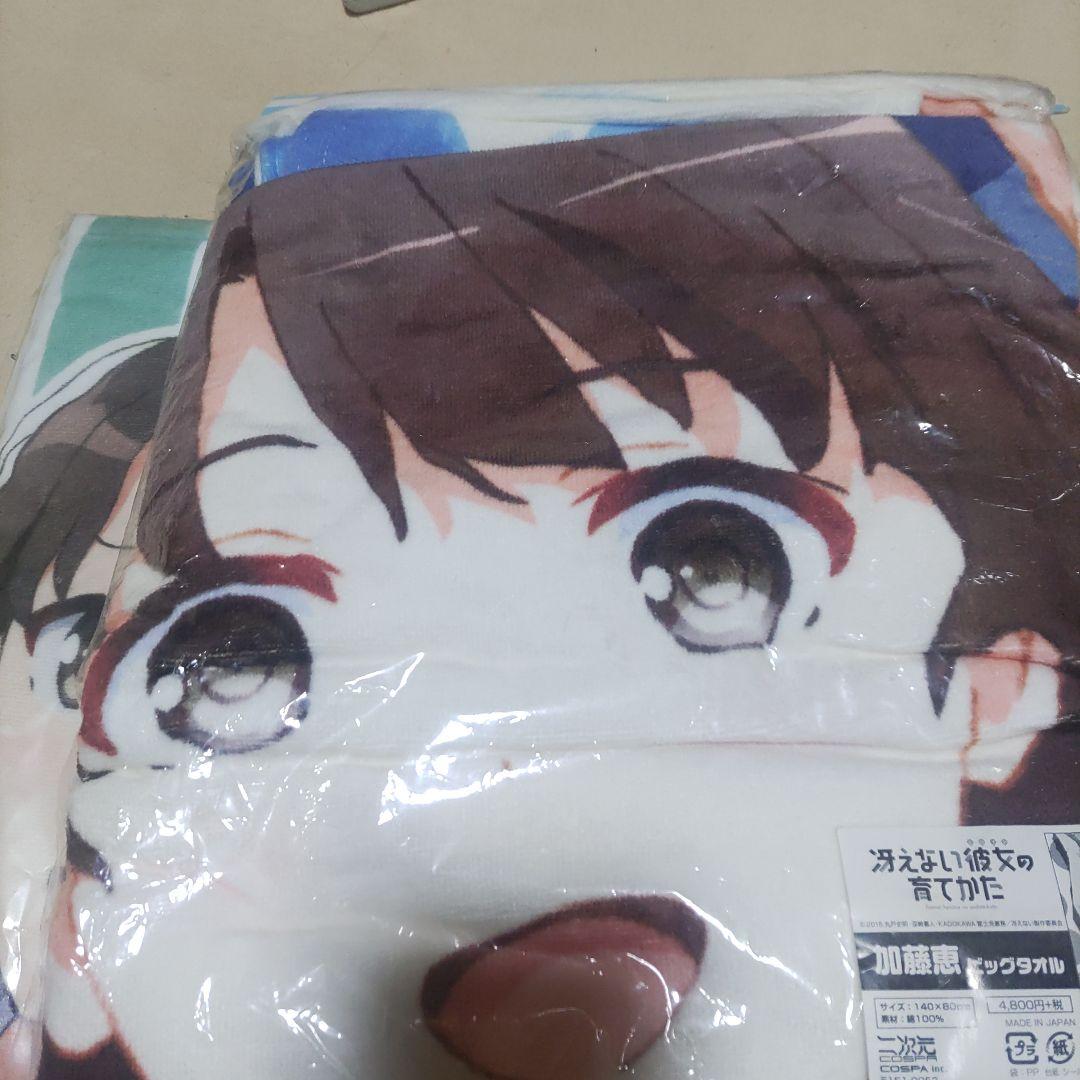 冴えない彼女の育てかた スポーツタオル 加藤恵 霞ヶ丘詩羽