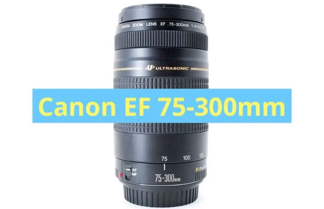 望遠レンズ☆一眼レフカメラ☆Canon EF 75-300㎜ F4-5.6 II