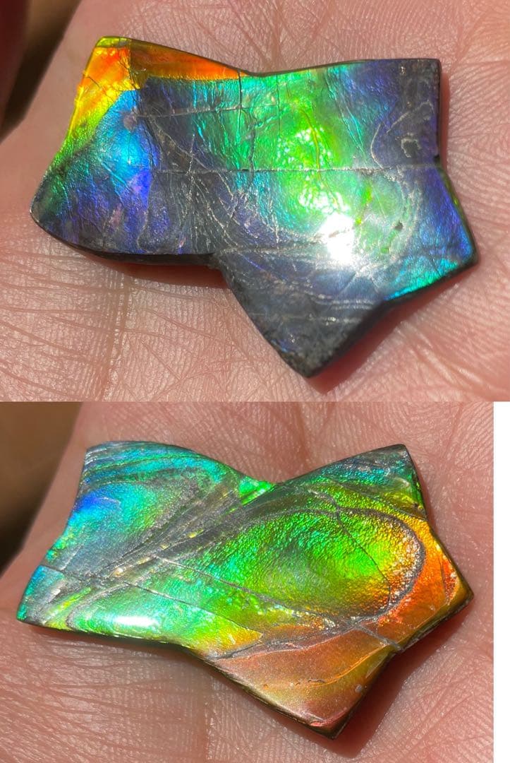 【期間限定セール】虹色星形　アンモライト　インペリアルレインボー　アンモライト