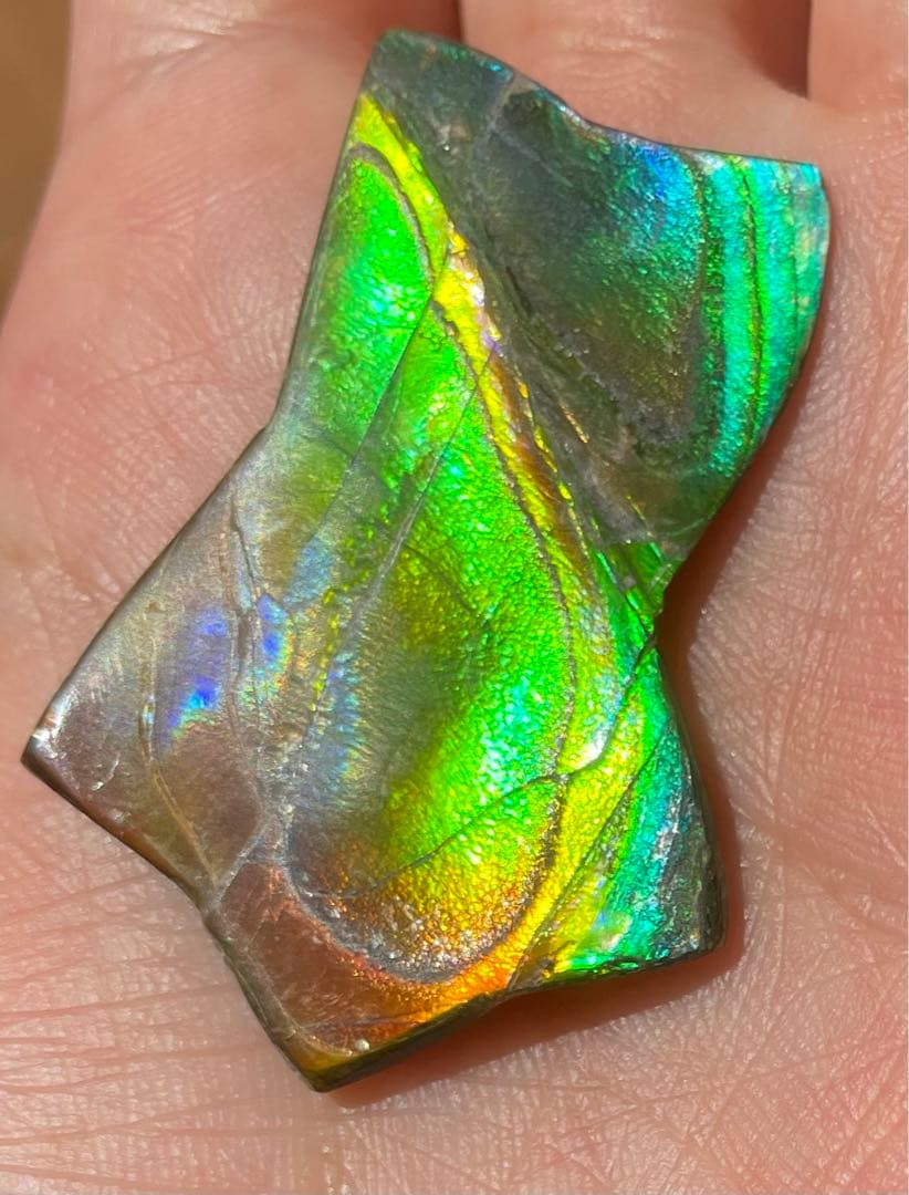 【期間限定セール】虹色星形　アンモライト　インペリアルレインボー　アンモライト