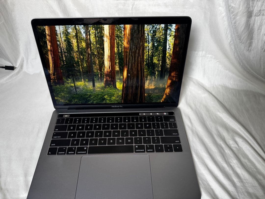 MacBookPro 13インチ(2019)Core i5/16GB/256GB