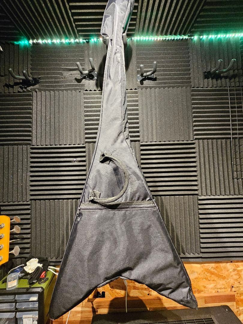 ESP LTD Alexi 200 Alexi Laiho レフティー　左