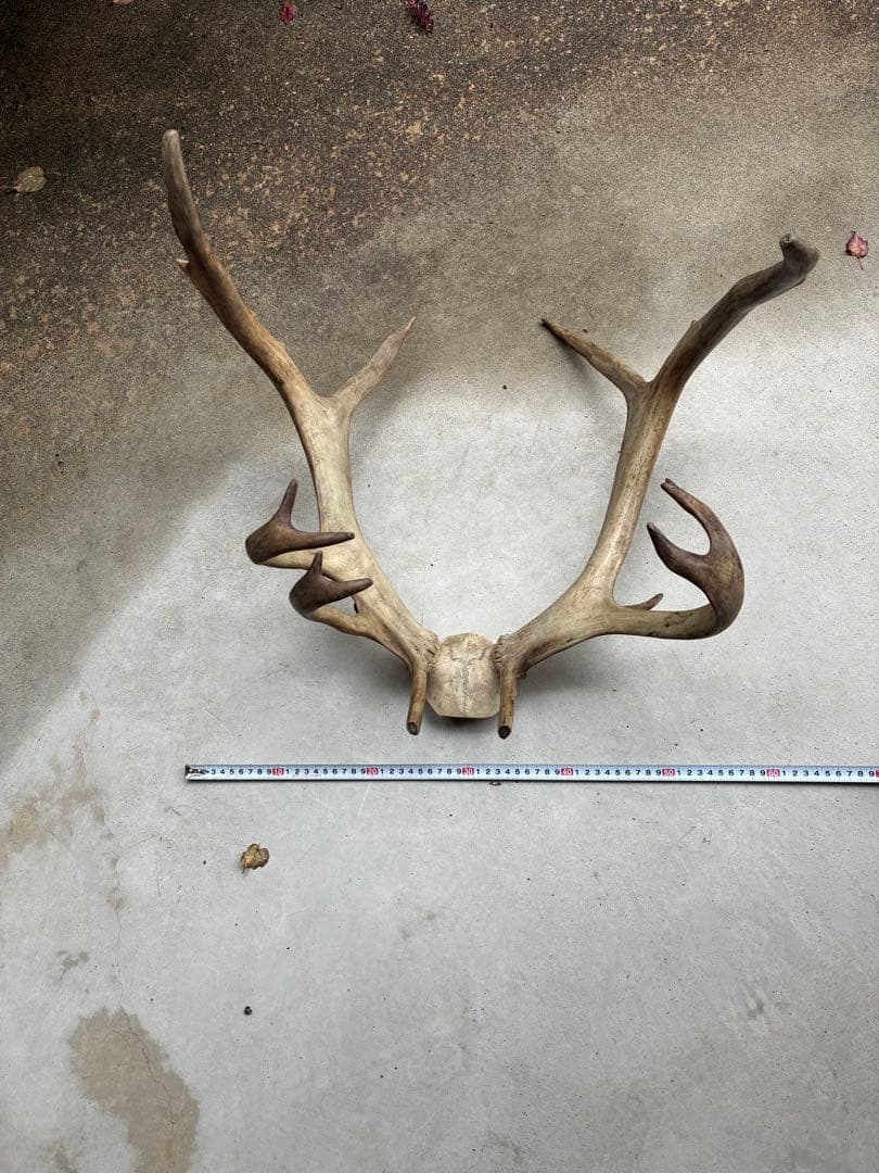 YHKＹさま　専用