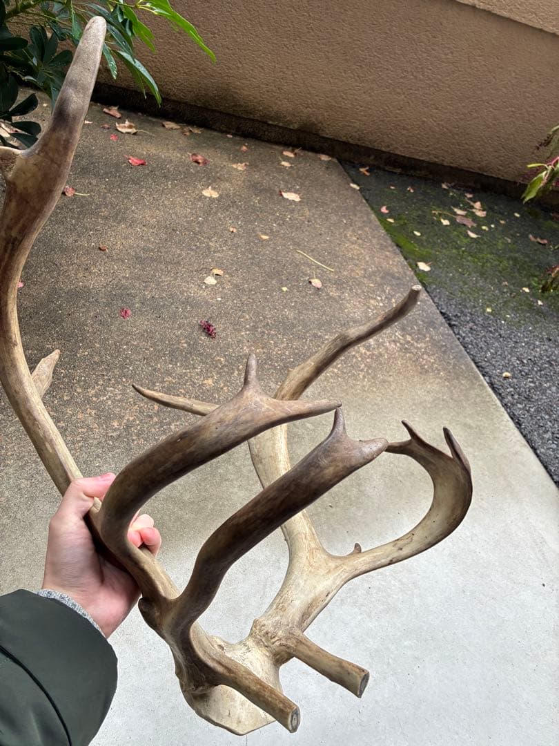 YHKＹさま　専用