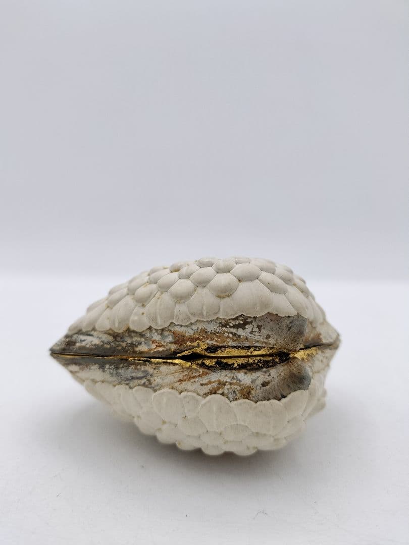 c453 貝香合 置上蛤 有職　島津豊泉 木箱 茶道具 古物