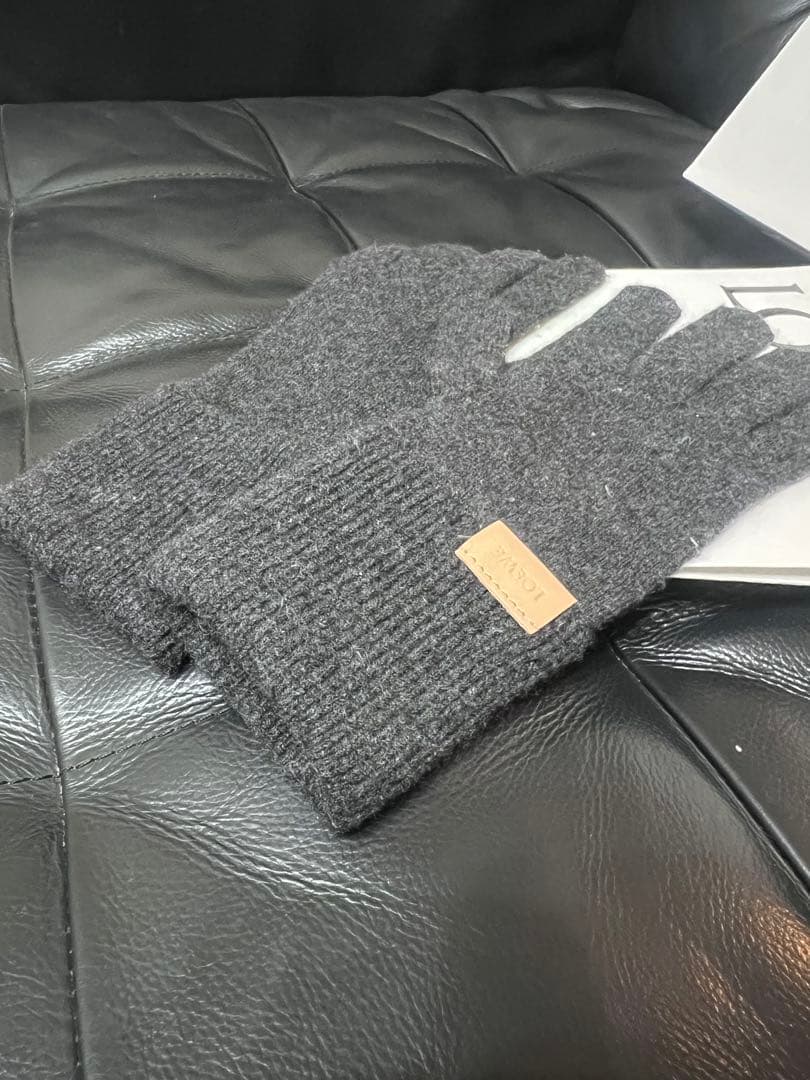 国内正規品　LOEWE ハンドウォーマー