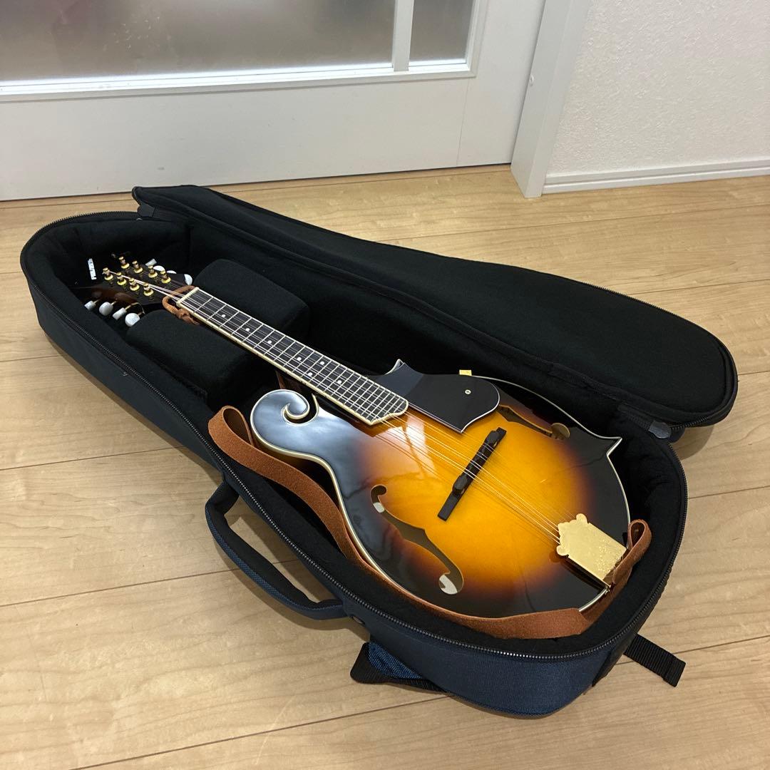 プレイテック　Playtech F型マンドリン　PFM10F ギグバック付き！