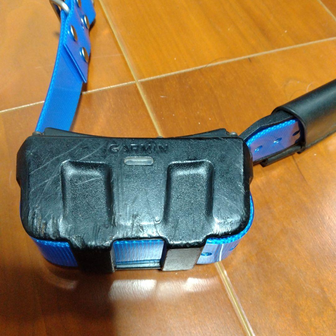 GARMIN ASTRO DC50首輪（中古品）