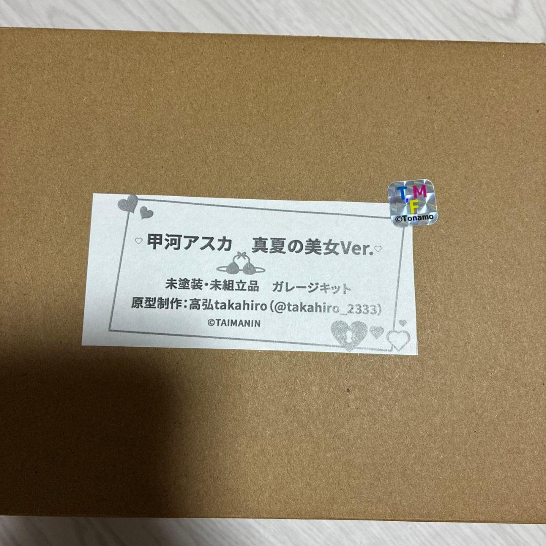 対魔忍　ガレージキット　甲河アスカ