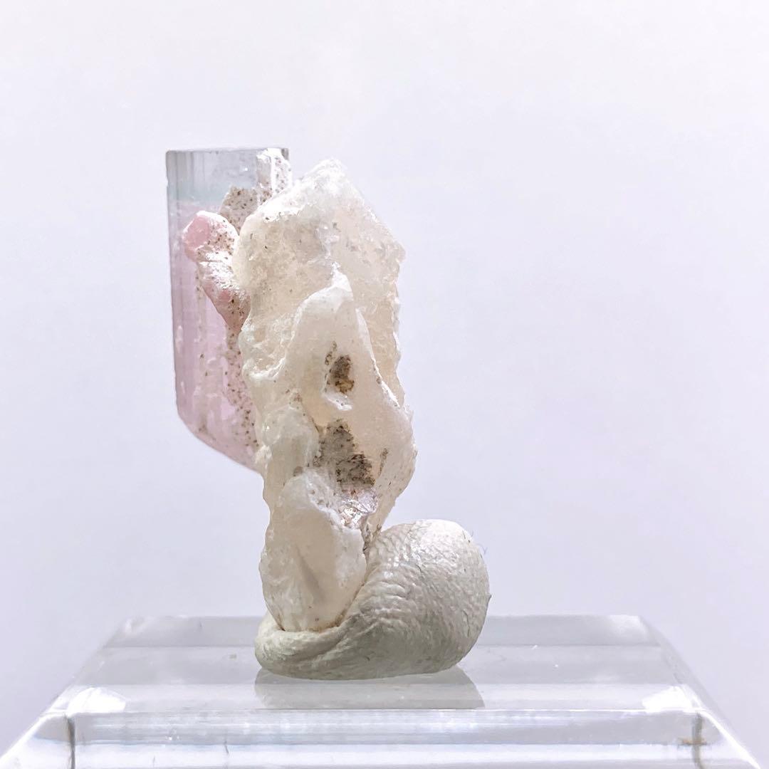 G*G様 『バイカラー』　トルマリン　原石　鉱物標本　天然石　706