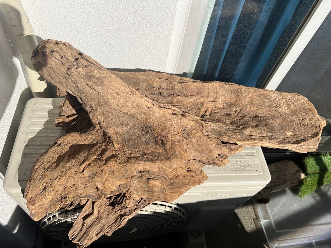 【大型流木】85cm アク抜き消毒済み