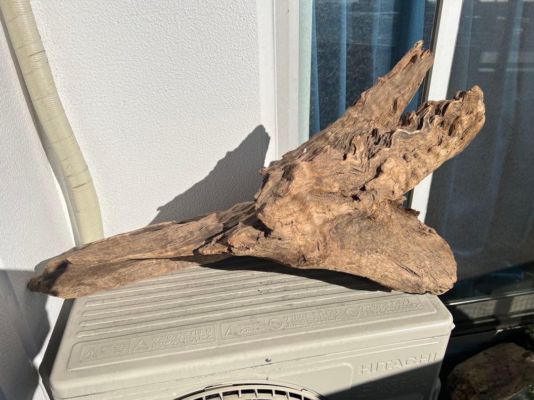 【大型流木】85cm アク抜き消毒済み