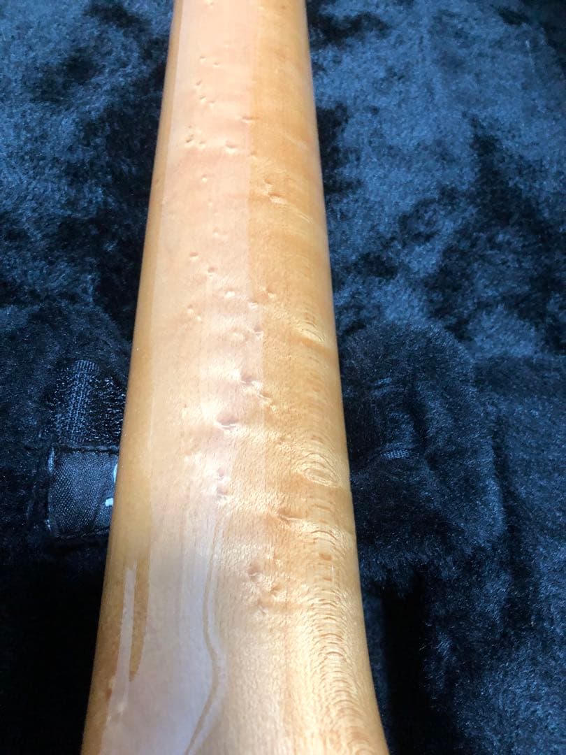 メ*ン様 Valleyarts M series SSH ストラトキャスター