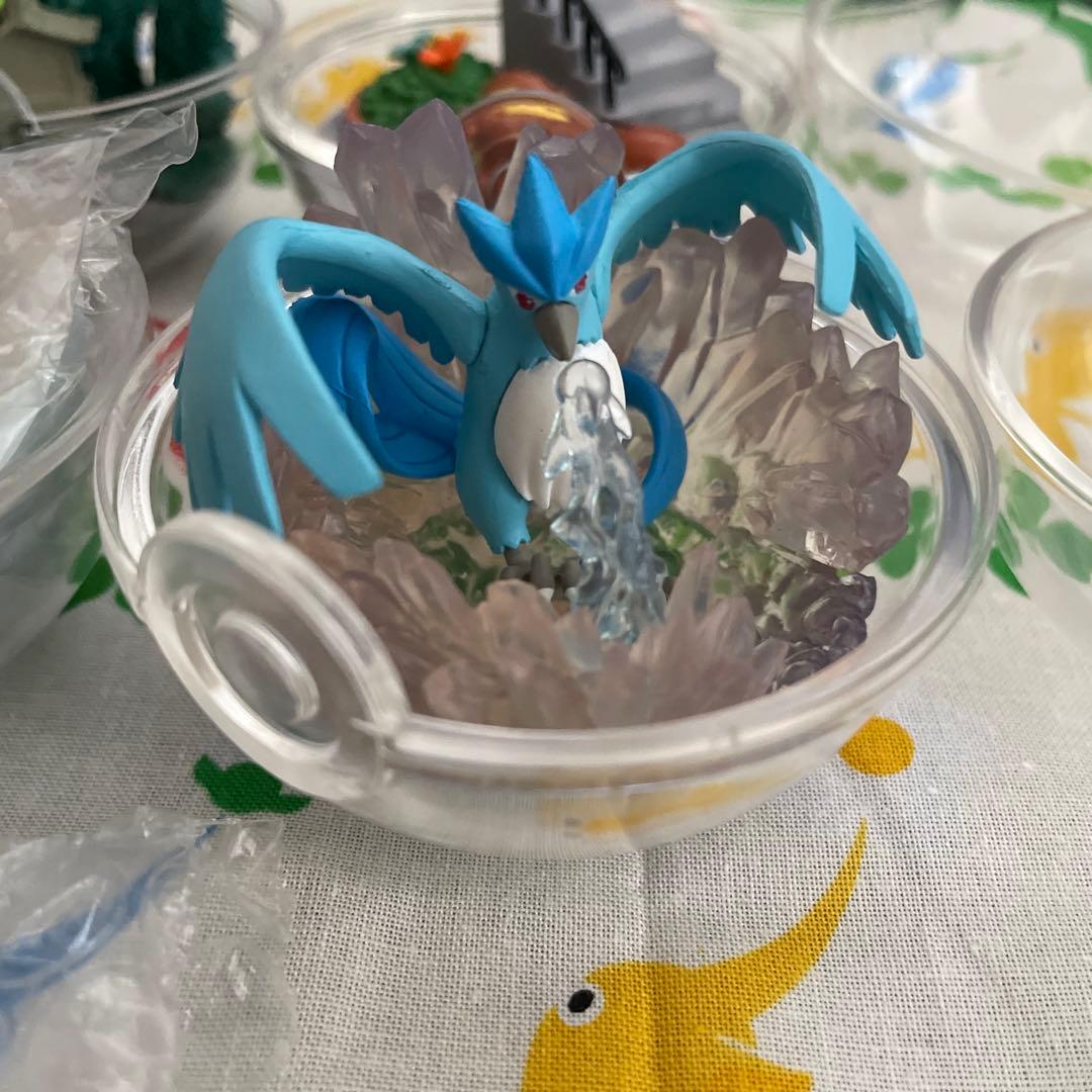 合計11個　ポケモンテラリウム4 +他6個　ブラッキーなし