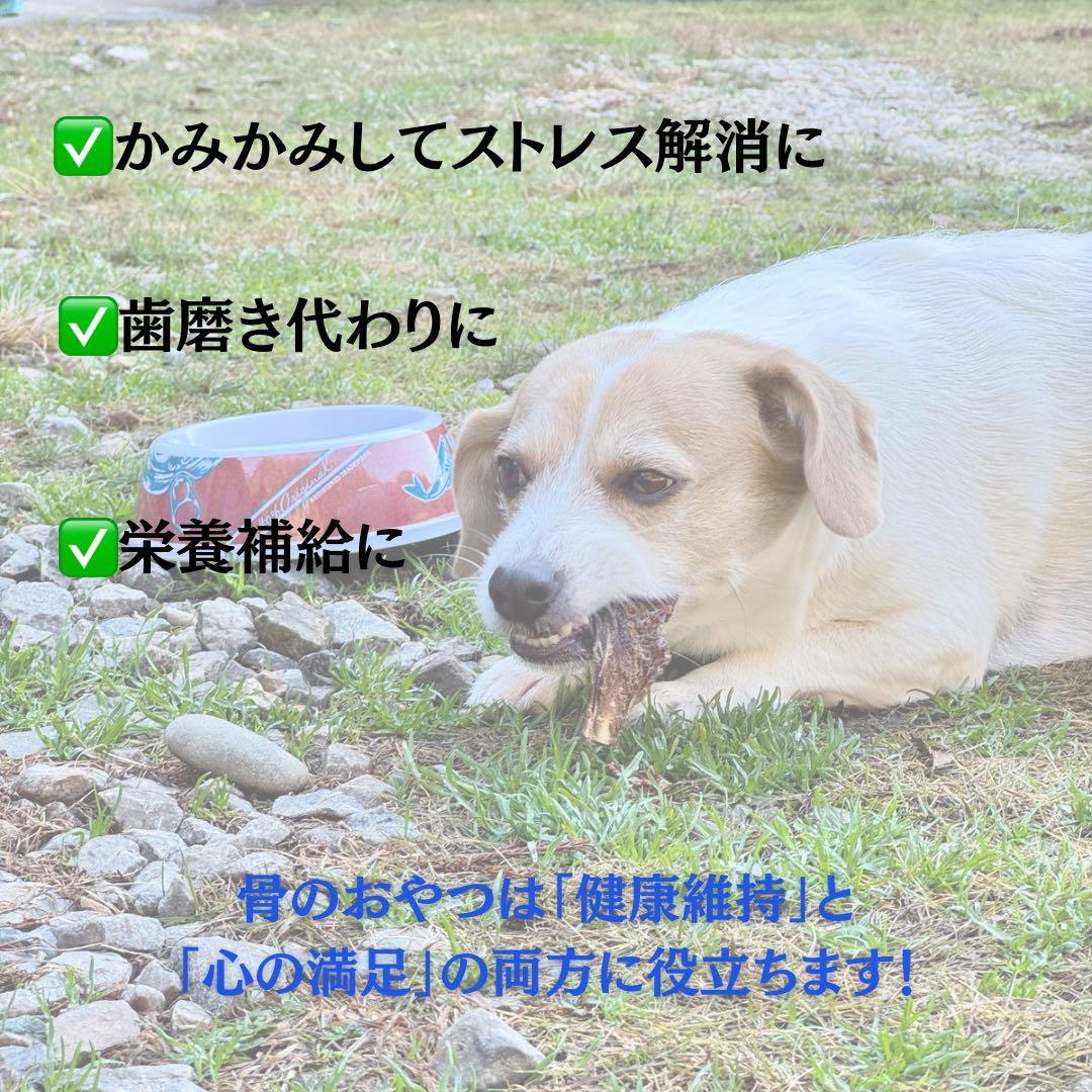 送料込み‼️鹿あばらジャーキー1kg 中小型犬向け 無添加 鹿ジャーキー 鹿肉①