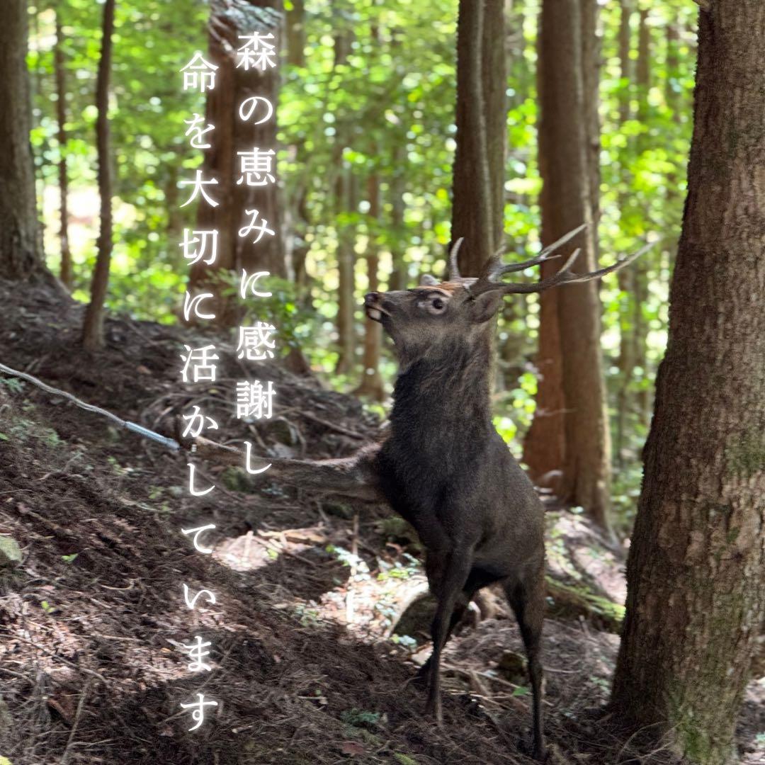 送料込み‼️鹿あばらジャーキー1kg 中小型犬向け 無添加 鹿ジャーキー 鹿肉①