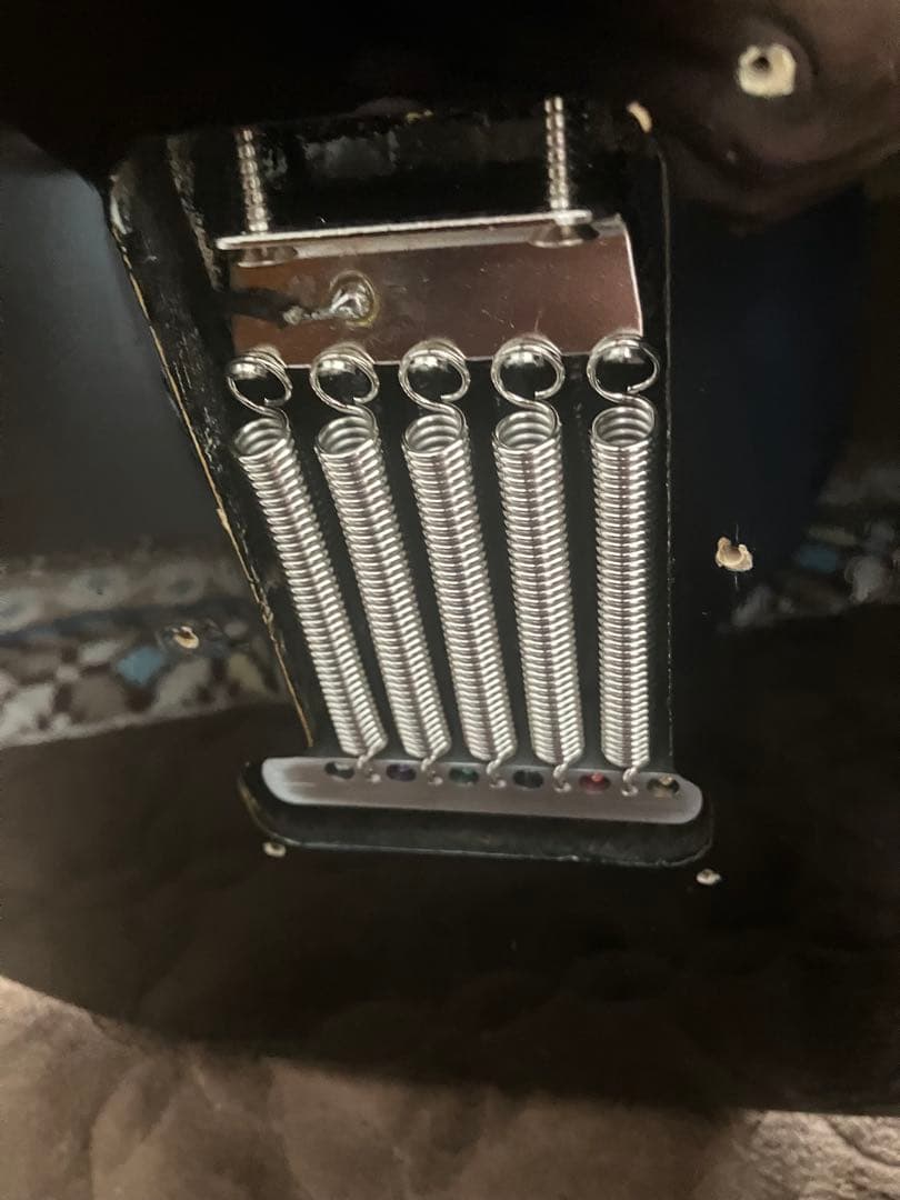 1980 トーカイ　SS60 grinningdog mod