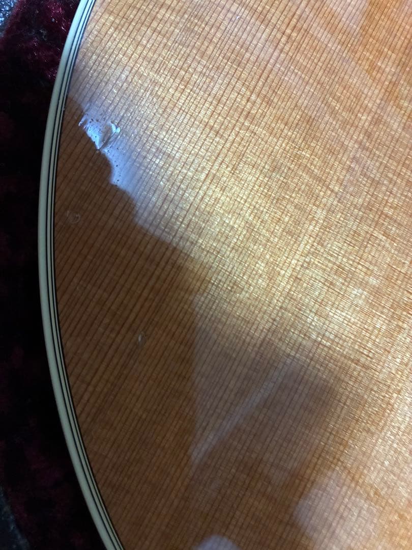 Taylor Guitars アコースティックギター ハードケース付き