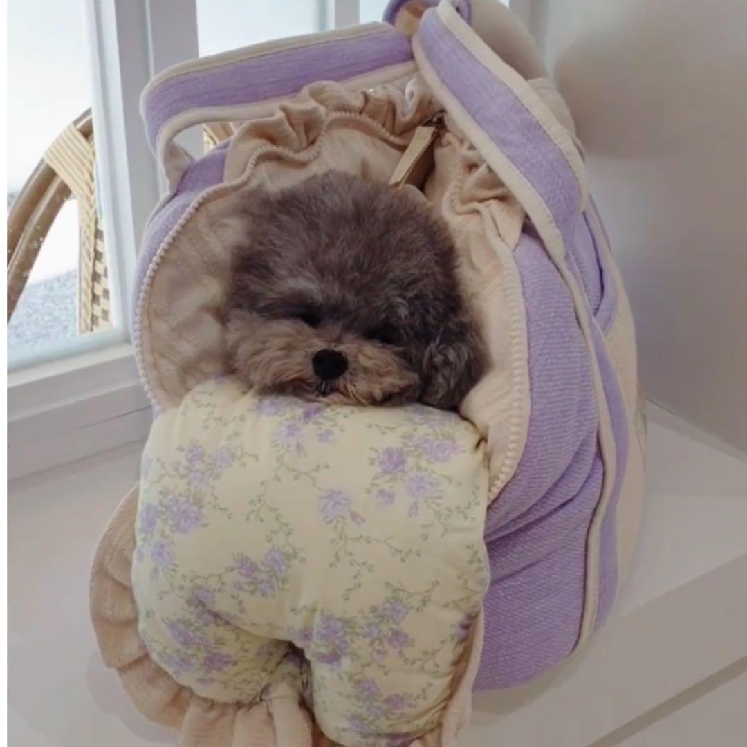 韓国　carocara コットンキャリーバッグ　インナーメッシュ有り