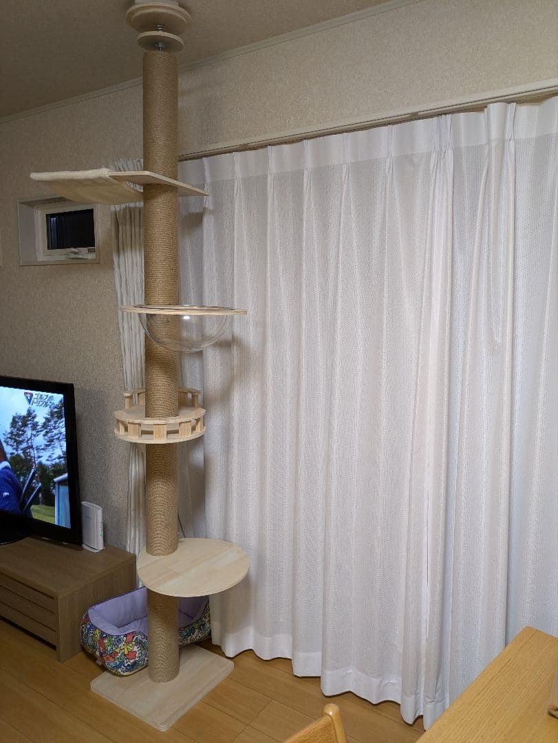 猫タワー