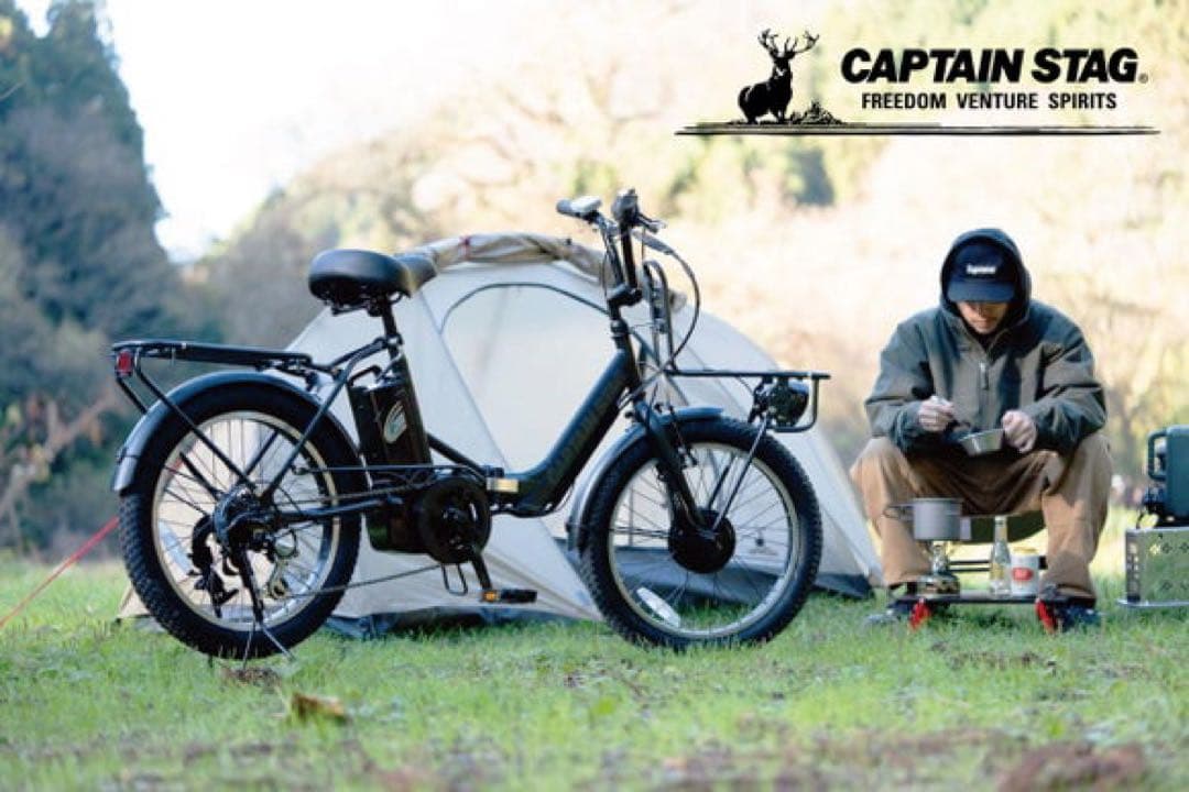 eバーギー電動　FDB206（YG-1502）電動アシスト自転車