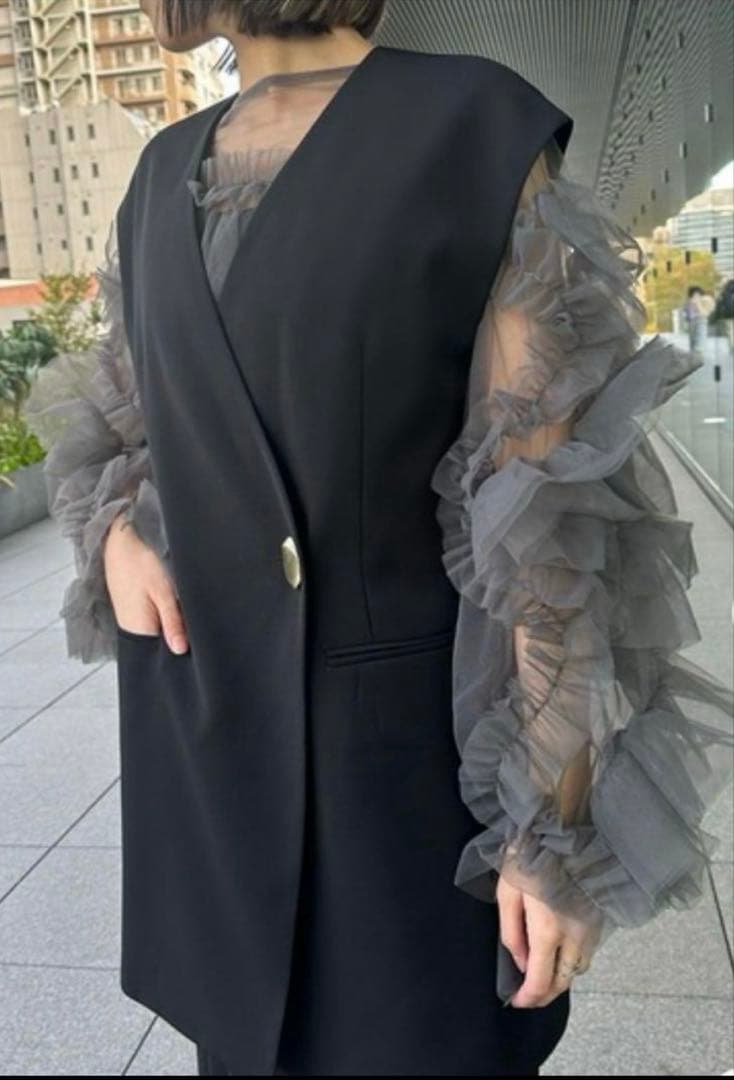 ANDRESD バックシアージレセットアップ　デコラティブチュールトップス