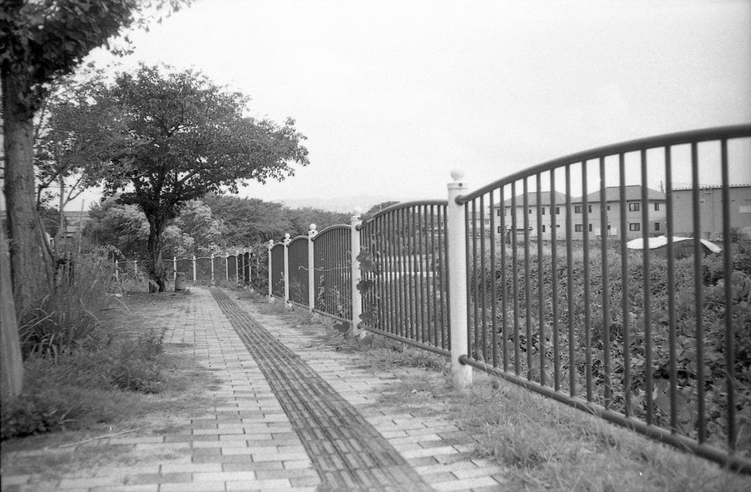 【整備済完動品・モルト/赤ベロOK!】Olympus Trip35