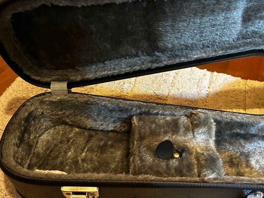 【極美品】 完品　K.Garage VM-6E マンドリン　ハードケース付き